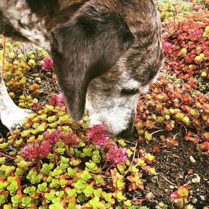 Meet your Posher, Meghan